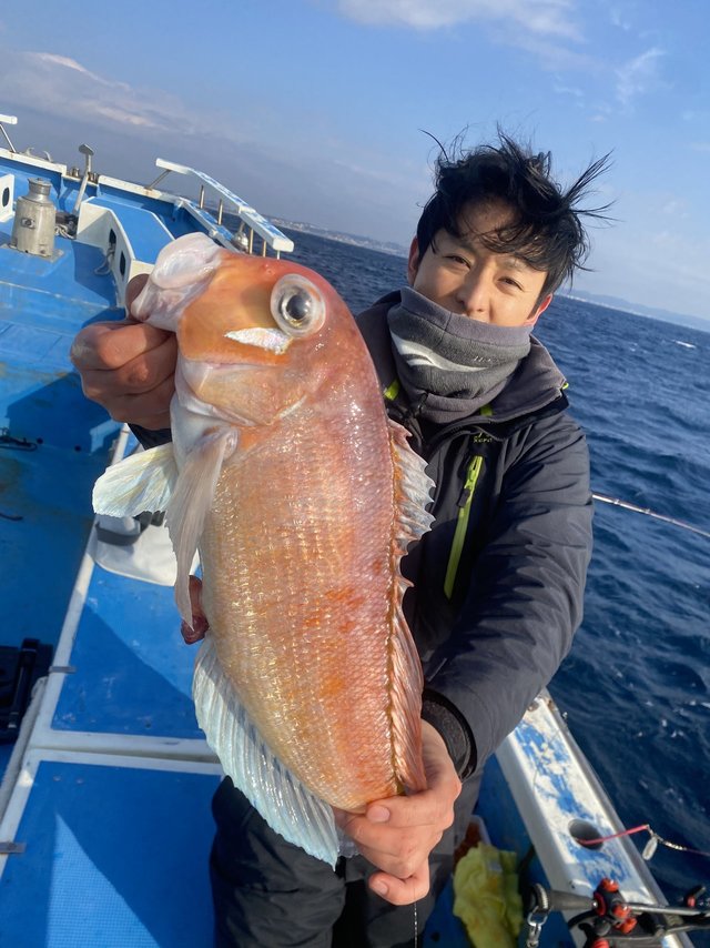 アマダイ(アカアマダイ)