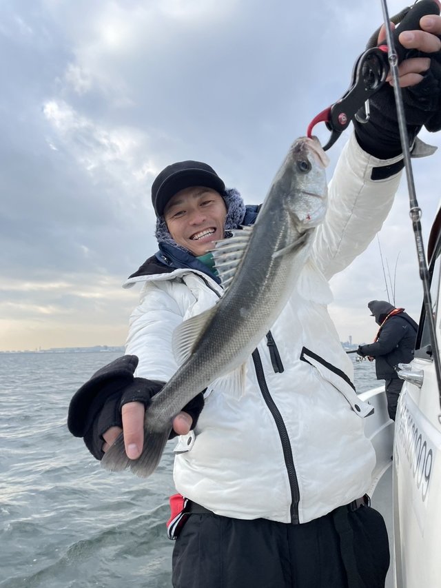 シーバス(スズキ)