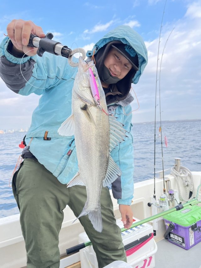 シーバス(スズキ)