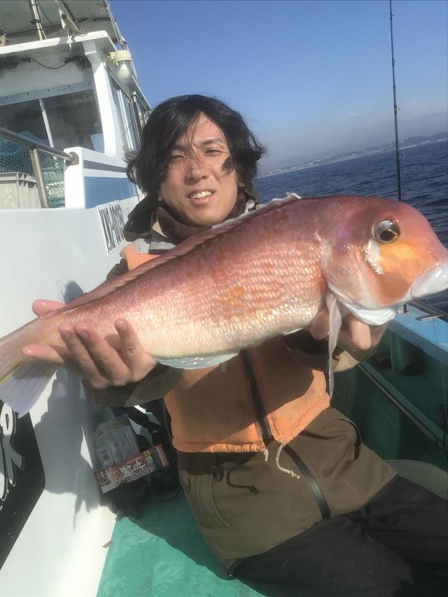 アマダイ(アカアマダイ)