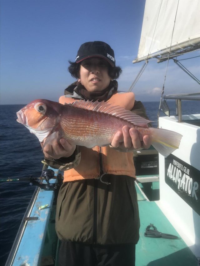 アマダイ(アカアマダイ)