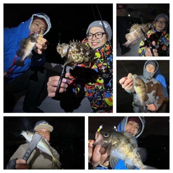 アジ(マアジ)・メバル