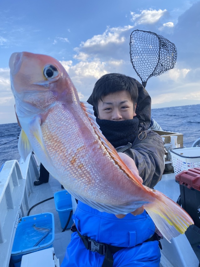 アマダイ(アカアマダイ)