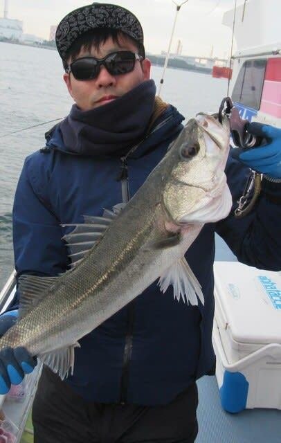 シーバス(スズキ)