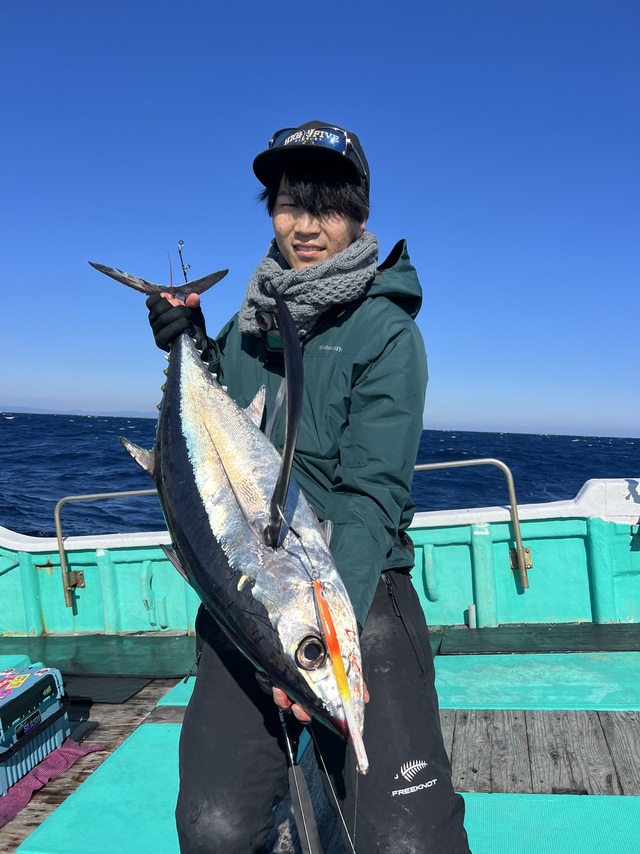 ビンチョウマグロ(ビンナガ)