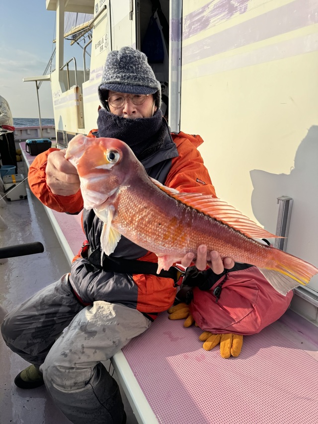 アマダイ(アカアマダイ)