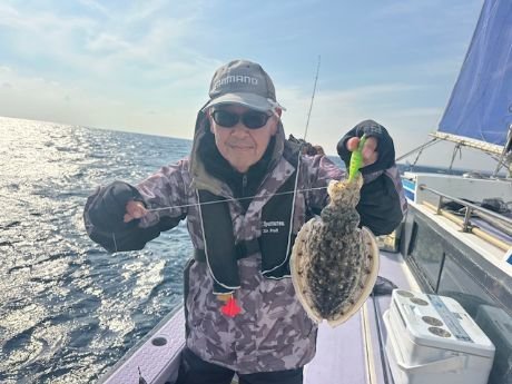 スミイカ(コウイカ)