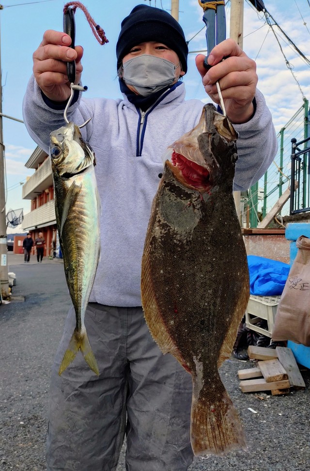 アジ(マアジ)・ヒラメ