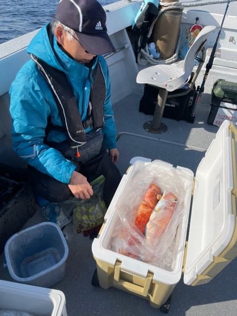 アマダイ(アカアマダイ)・カサゴ