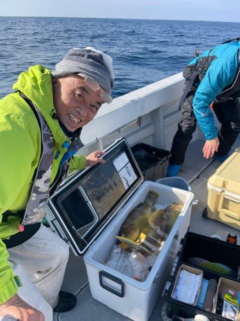 アオナ(アオハタ)