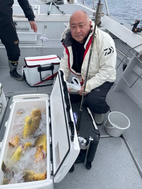 アオナ(アオハタ)