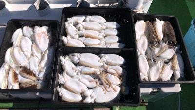 スミイカ(コウイカ)・モンゴウイカ(カミナリイカ)