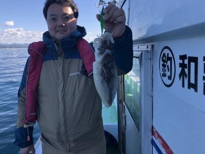 スミイカ(コウイカ)