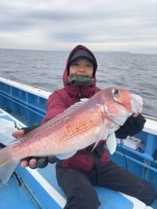 アマダイ(アカアマダイ)