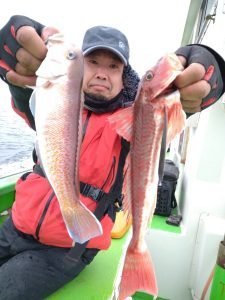 シロアマダイ・ホウボウ