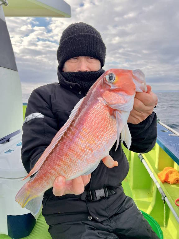 アマダイ(アカアマダイ)