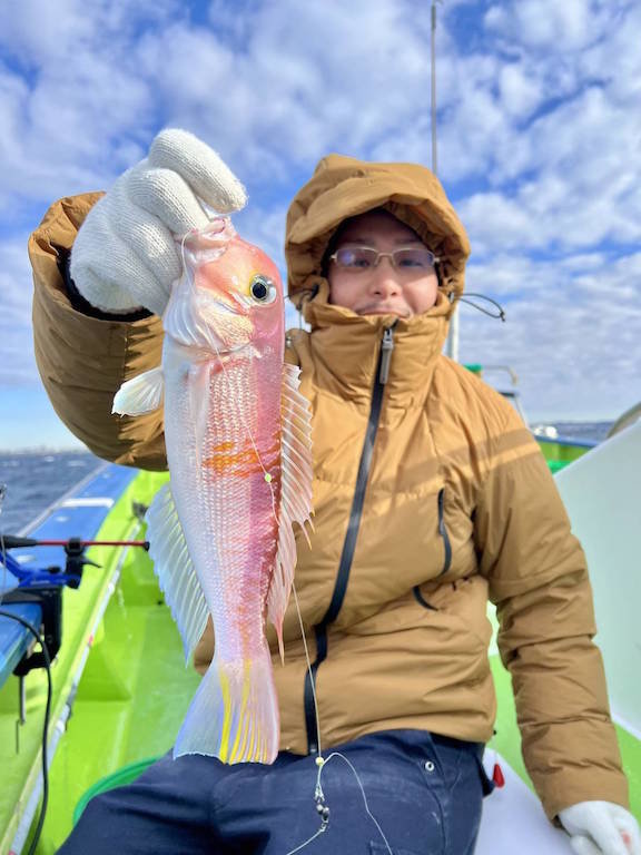 アマダイ(アカアマダイ)