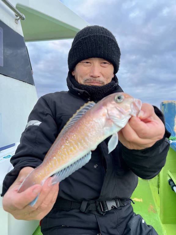 アマダイ(アカアマダイ)