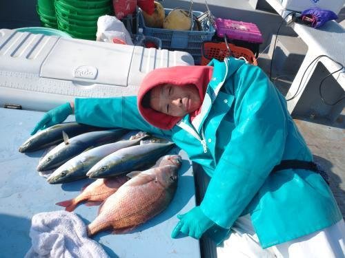 マダイ・イナダ(ブリ)