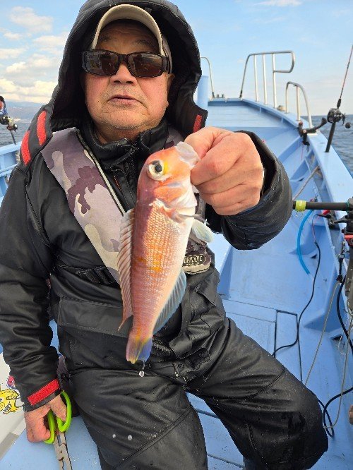 アマダイ(アカアマダイ)