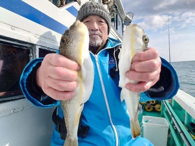 ショウサイフグ