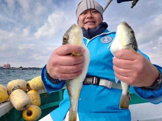 ショウサイフグ