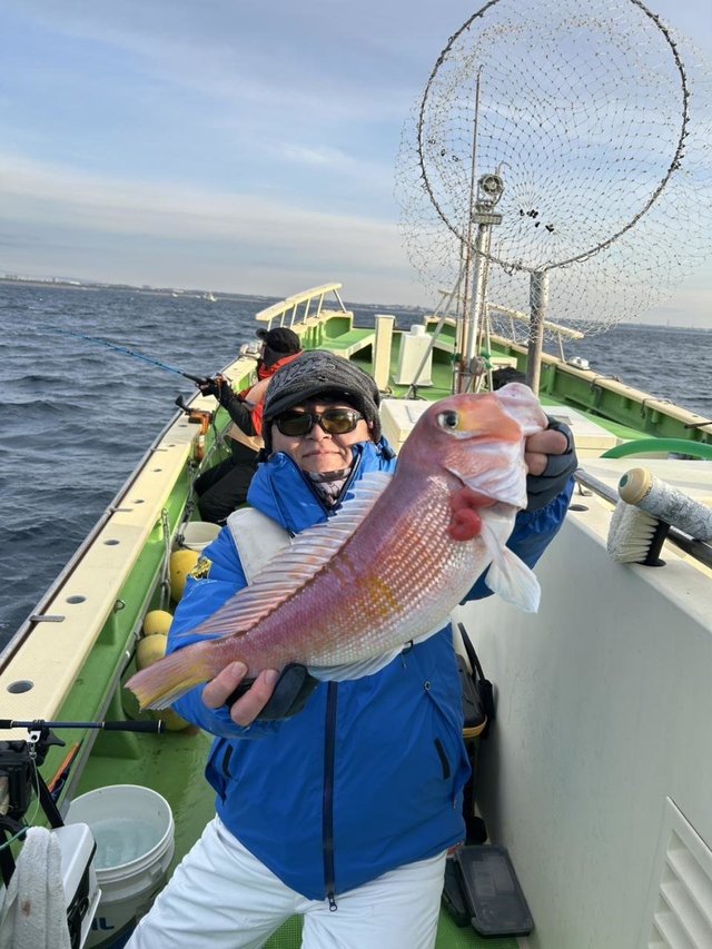 アマダイ(アカアマダイ)