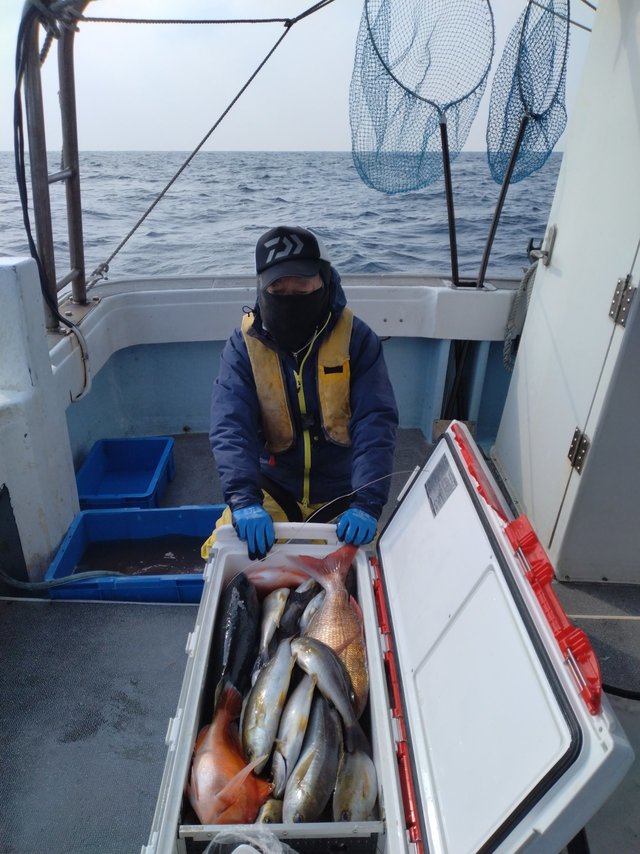 マダイ・イサキ・チカメキントキ