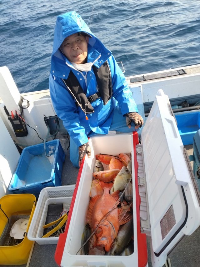 アカイサキ・イサキ・チカメキントキ