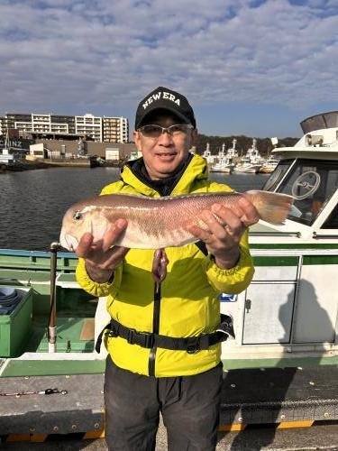 アマダイ(アカアマダイ)