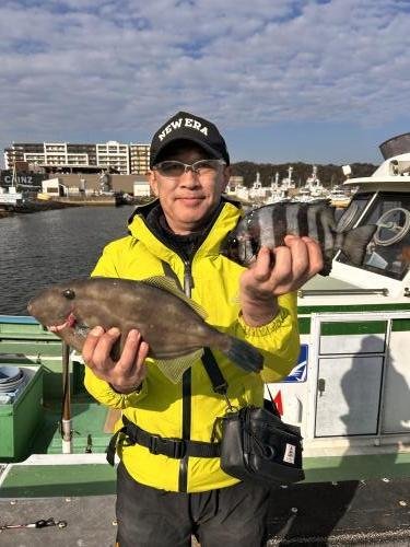 イシダイ・ウマヅラ(ウマヅラハギ)