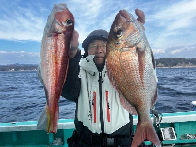 マダイ・アマダイ(アカアマダイ)