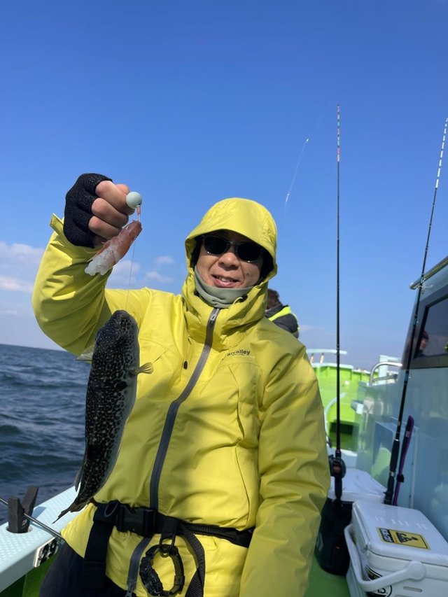 フグ(ショウサイフグ)