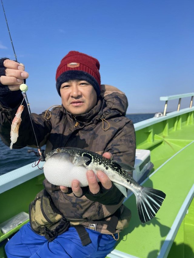 フグ(トラフグ)