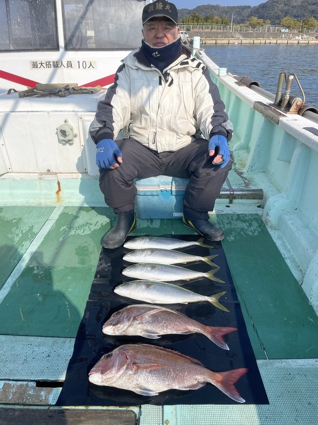 マダイ・ハマチ(ブリ)