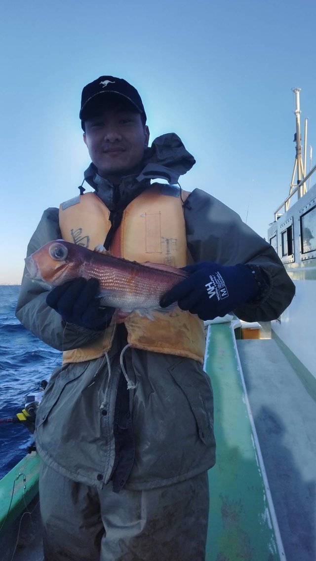 アマダイ(アカアマダイ)