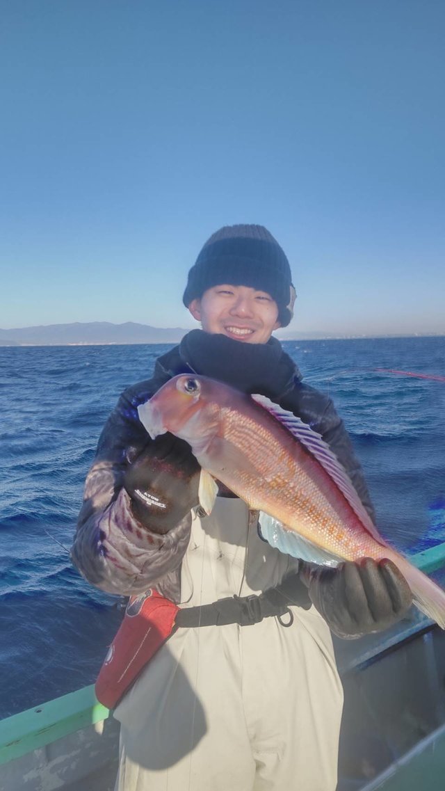 アマダイ(アカアマダイ)