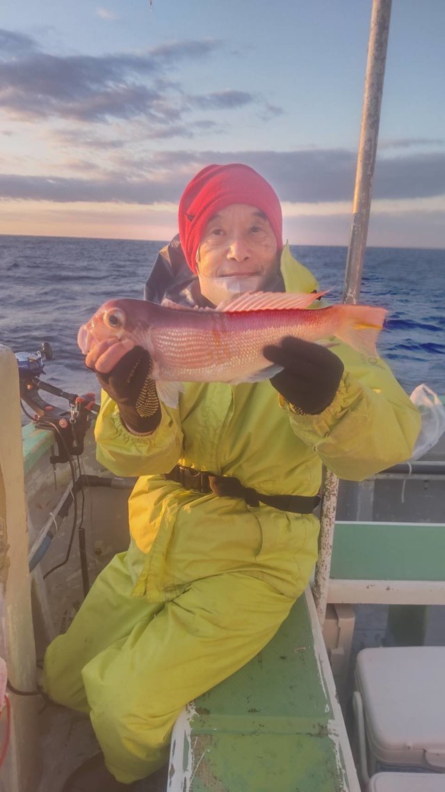 アマダイ(アカアマダイ)