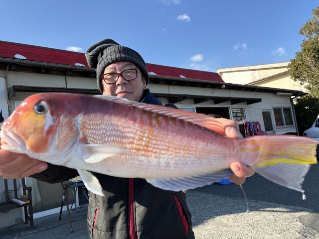 アマダイ(アカアマダイ)