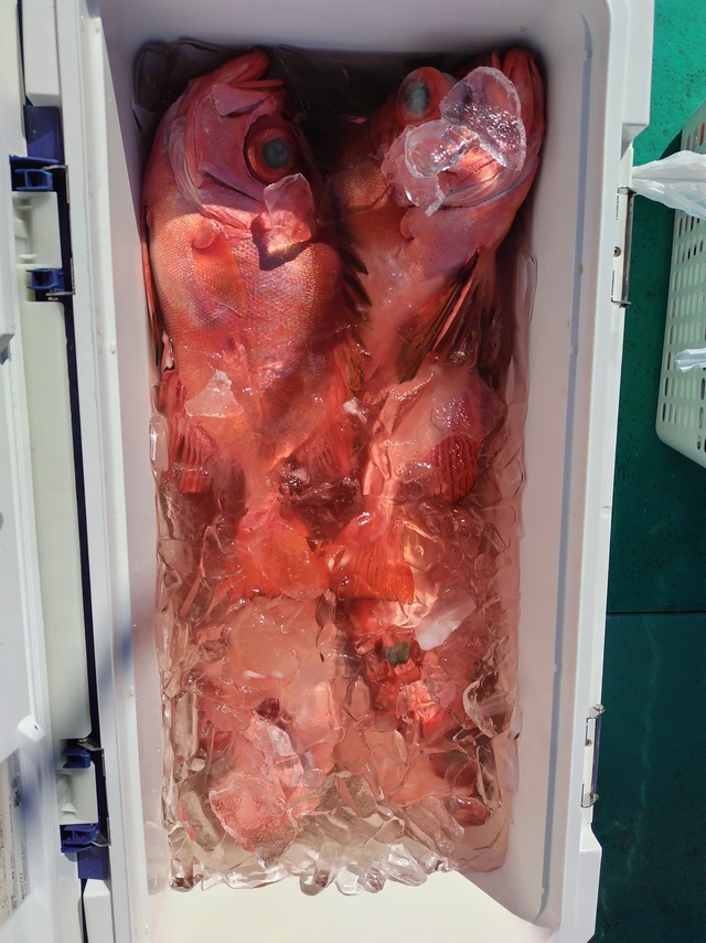 チカメキントキ