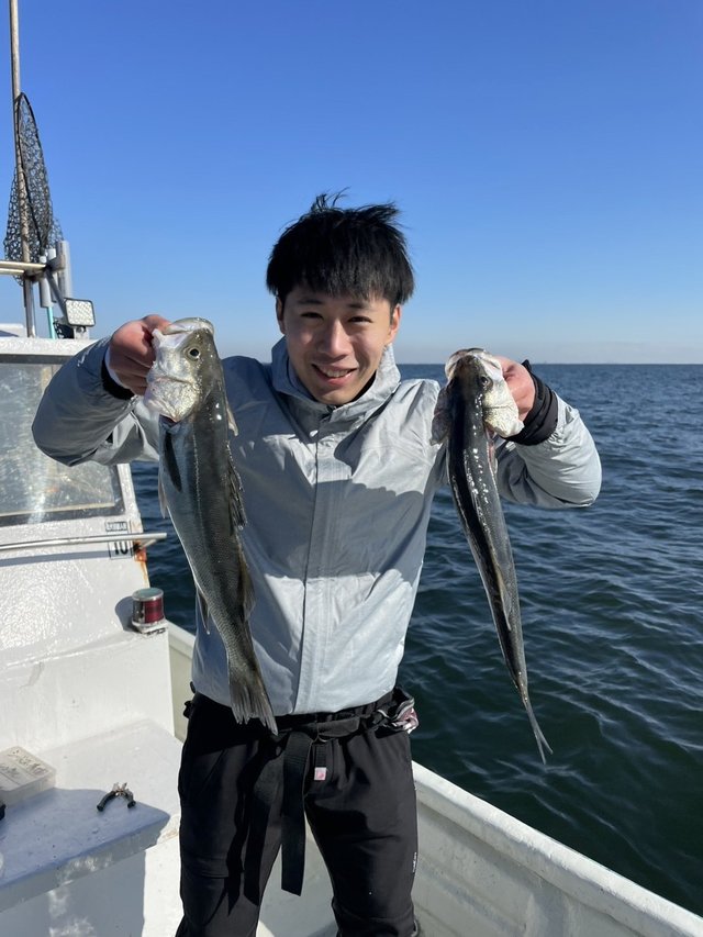 シーバス(スズキ)