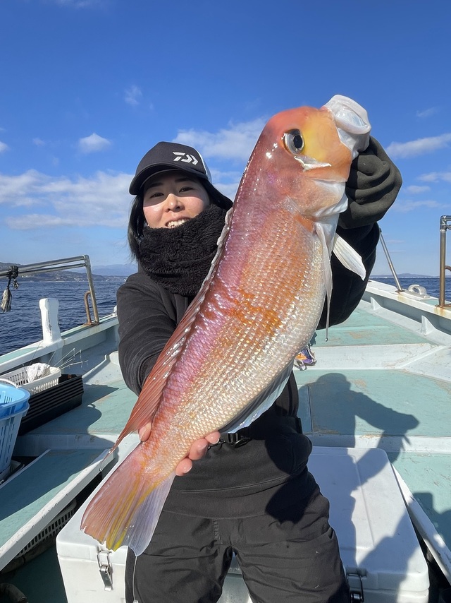 アマダイ(アカアマダイ)