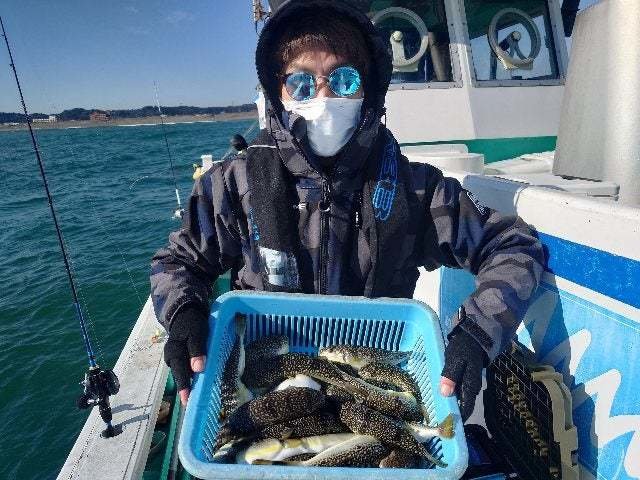 ショウサイフグ