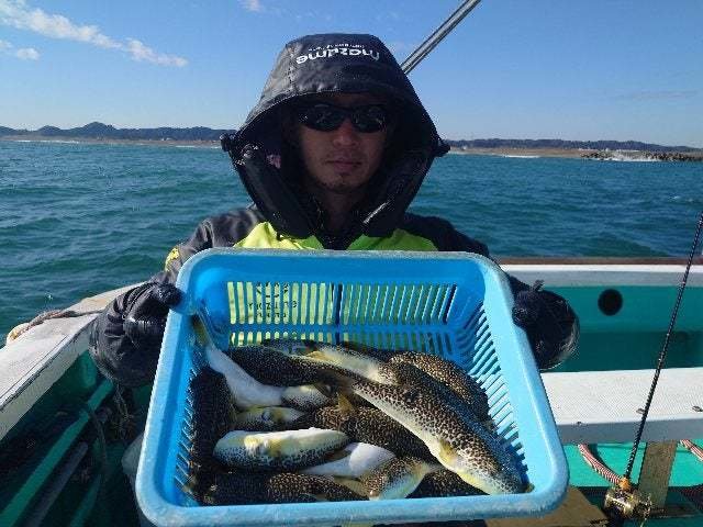 ショウサイフグ