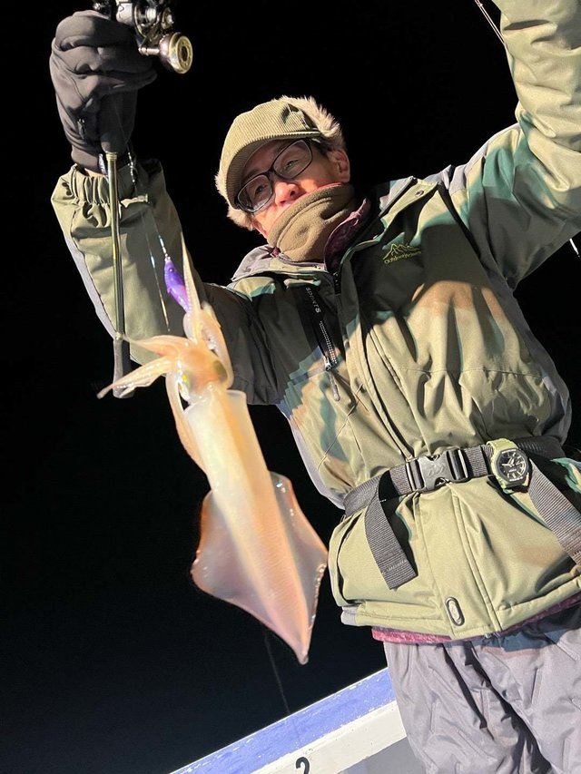 マルイカ(ケンサキイカ)