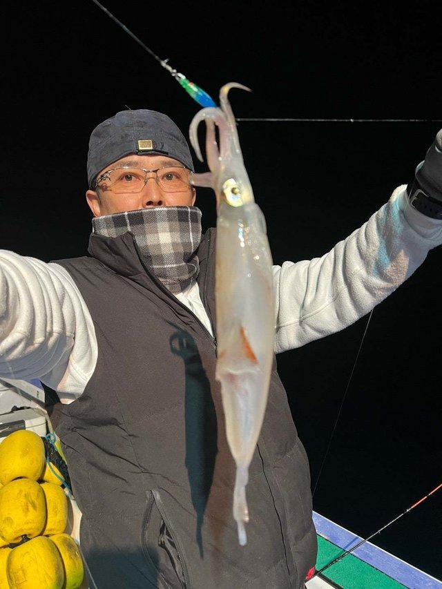 マルイカ(ケンサキイカ)