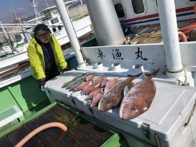 マダイ・チダイ・ヘダイ