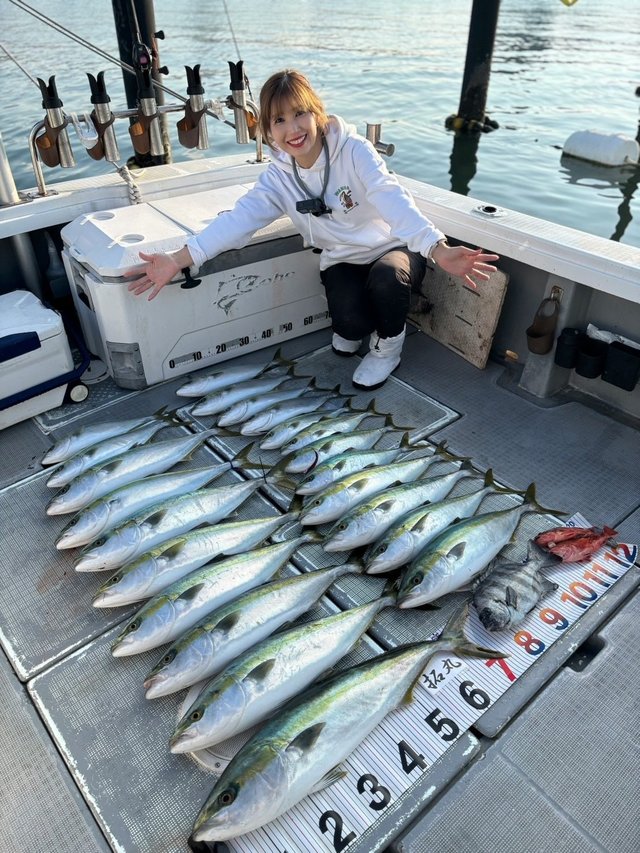 イシダイ・ハマチ(ブリ)・メジロ(ブリ)