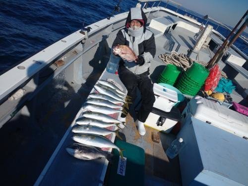 マダイ・イナダ(ブリ)