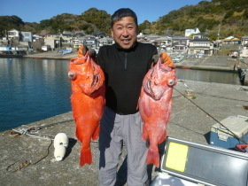 ベニアコウ(オオサガ)